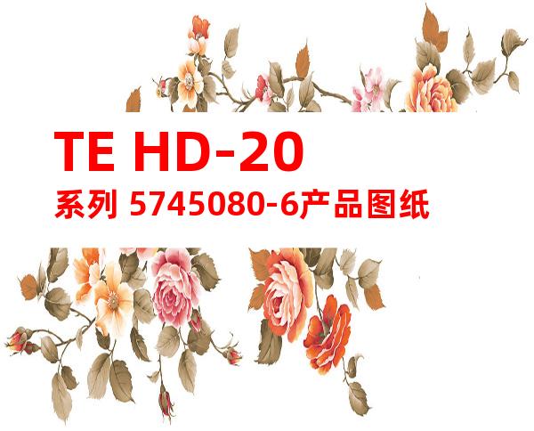 TE HD-20系列 5745080-6产品图纸